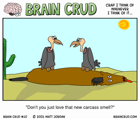 New Carcass Smell