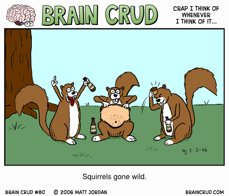 Squirrels Gone Wild